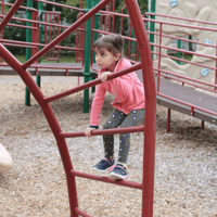 Playtime in the Park